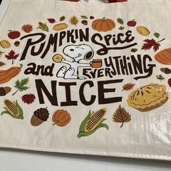Tesco Fall Snoopy Tote Bag Pumpkin Spice Hibernation Pie Acorn Leaf 2025 Schultz