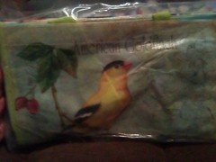 Set Of Two Plastic Grocery Handbags Or Multi-purpose Water Bags Veteran Bird