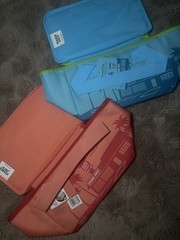 Trader Joes Mini Insulated Totes Set Of 2 Blue And Peach