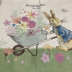 Tesco Peter Rabbit Tote Bag Beatrix Potter Bunny 2023 Home Grown Butterfly New