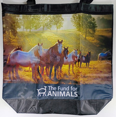 Fund For Animals Tote Bag. (Jennifer Kunz) Heavy Vinyl Bag. 16″ x 16″, Handles.
