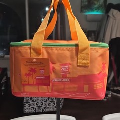 Trader Joe’s Mini Insulated Bag Zipper Orange Green Red 1.5 gal 10x6x5