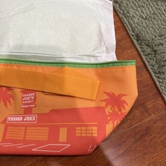 Trader Joe’s Summer Fun Orange Mini Insulated Tote Bags
