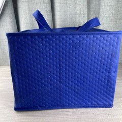 Jenny Craig Insulated Cooler Bag Double Handles Front Pocket Retired DBL Zipper