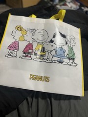 Peanuts Gang New Reusable Shopping Bag Grocery Travel Bag 19.5″x17.5″x7.25″