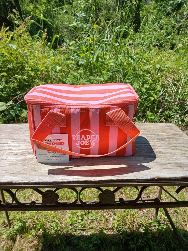 Trader Joe’s insulated collapsible mini cooler bag, new with tags