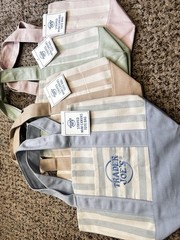 Trader Joe’s Mini Pastel Stripe Canvas Tote Set Of 4 Summer 2026