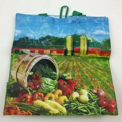 Be Wise Earthwise Reusable Grocery Shopping Bag Large 8.5″x13.5″ Produce Recycle