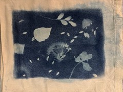 Handmade Cyanotype Botanical Tote Bag – Sun Printed with Real Leaves & Flowers