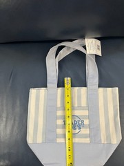 trader joe’s pastel striped mini tote bags 2 pack!!!! blue and green!!!