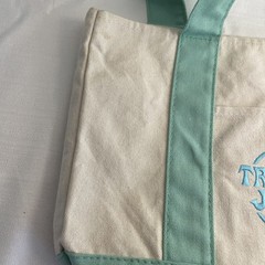 Trader Joe’s Mini Canvas Tote bag pastel green with blue embroidered logo