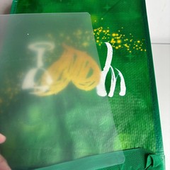 Wegmans — Green Christmas Love Holiday Heart Reusable Grocery Tote Gift Bag NWT!