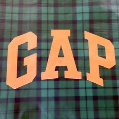 Gap Reusable Shopping Bag Travel Tote L Green Blue Tartan Plaid Foldable Preppy
