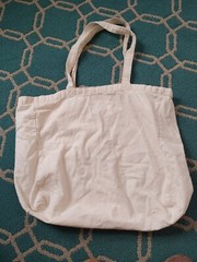 EB Reusable Cloth Tote SEE THE WORLD