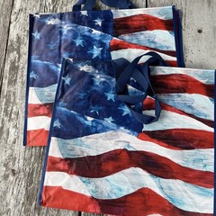 NEW Lot 2 XL TJX USA 🇺🇸 FLAG Patriotic Shopping Gift Bags