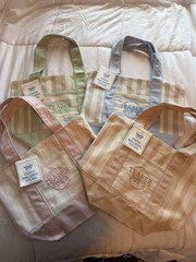 Trader Joe’s Mini Pastel Stripe Canvas Tote Bag Limited Edition Set Of 4 NWT