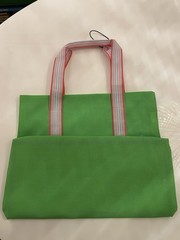 Scout Road Tripper Bag