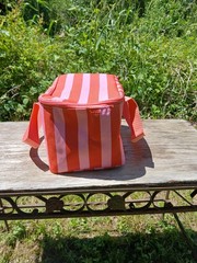 Trader Joe’s insulated collapsible mini cooler bag, new with tags