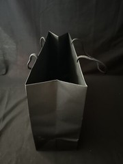 Authentic CHANEL Paper Reusable Shopping Bag Black 13″ x 17 ” x 6.5″