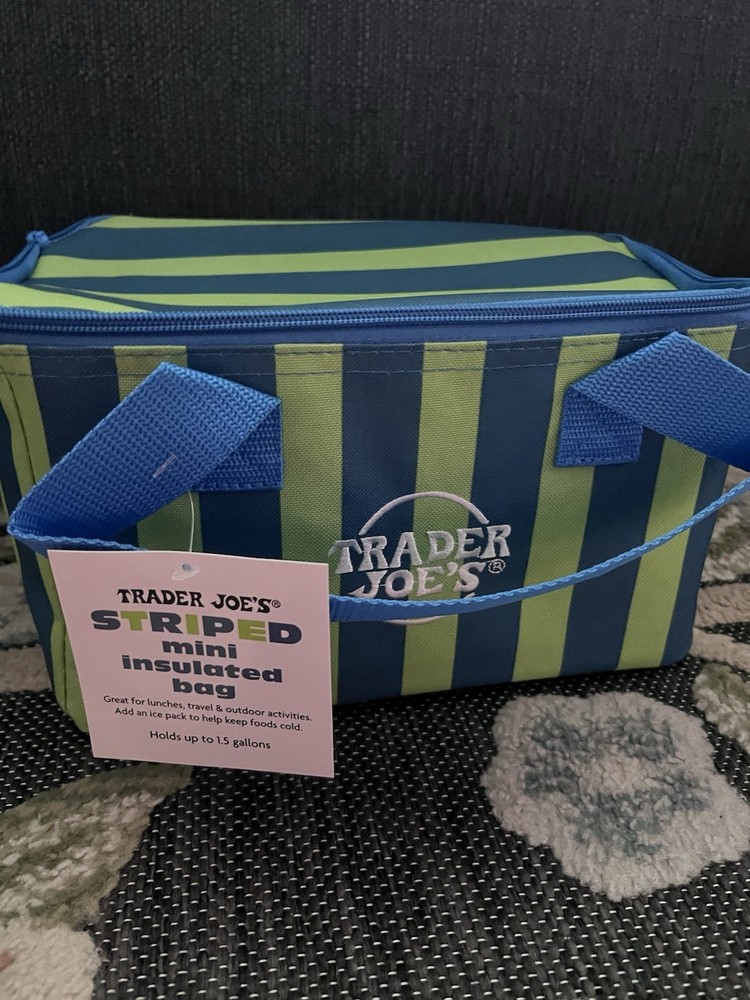 Trader Joe’s Striped Mini Insulated Tote Bag Green and Blue Striped