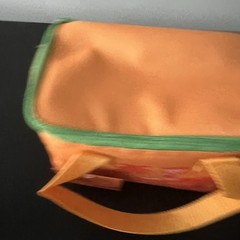Trader Joe’s Mini Insulated Bag Orange Green Zipper, Summer 2026 Release NWT