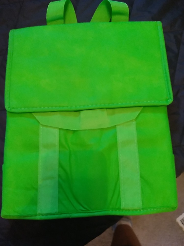 NEW INSULATED REUSABLE GROCERY BAG GREEN Thermal Zipper Shopping Tote