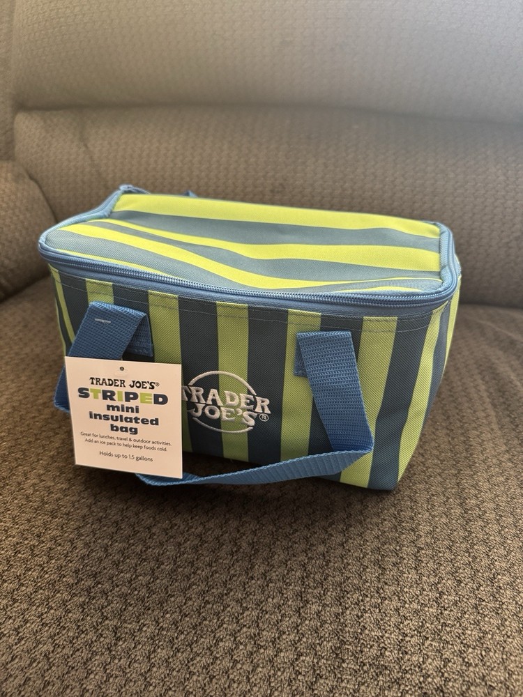 Trader Joe’s Mini Insulated Bag Blue & Green Stripes
