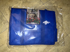 Brand New The Humane Society Member Tote Cute Puppy & Kitten in Window Blue Bag