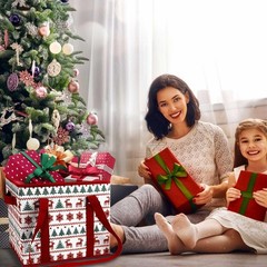 13×10.23×11 Inch Reusable Grocery Heavy Duty Shopping Bags Reindeers 3 PCS