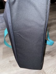 Trader Joe’s Magenta Teal Reusable Insulated Shopping Bag 8 Gallon