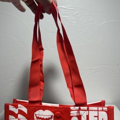 Lululemon Small Reusable Shopping Tote Lunch Bag Red