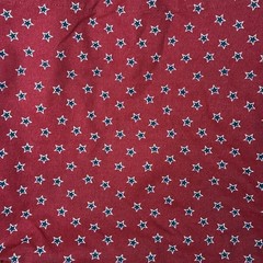 J. CREW Mercantile Printed Reusable Canvas Grocery Tote Bag Red White Stars