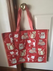 Kitty Hearts~Valentine’s Day Cats~Large Reusable Shopping Tote Eco Gift Bag NWT