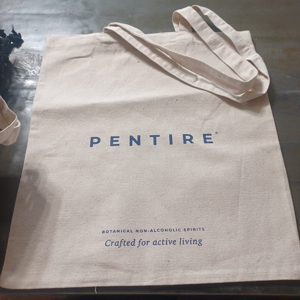 16.5 X 15″ Reusable Canvas Bag Pentire Bag
