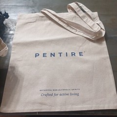 16.5 X 15″ Reusable Canvas Bag Pentire Bag
