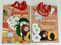 Trader Joe NWT STATE SHOPPING REUSABLE ECO-FRIENDLY GREEN TOTE BAG 💚 FL SC GA