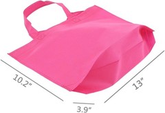 24 Pack Reusable Gift Bag with Handles, 13″ Goodie Treat Bags 8 Colors for Bi…