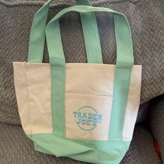 Trader Joe’s Mini Pastel Canvas Tote Bag Foldable Beige Mint Green Colorblock