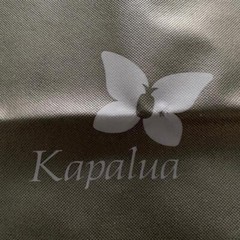 New KAPALUA Maui Black & Gray Small Tote Bag