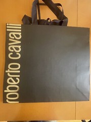 Roberto Cavalli Reusable Paper Shopping Bag Gift Rope Handle 17.5x 15.5×6”,new