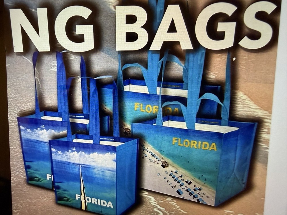 Keep Cool Florida Reusable Bags 4Pack L & x L Beach Scene & 7 Mile Bridge NEW