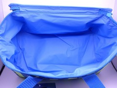 Trader Joe’s – Mini Insulated Bag – Striped Blue/Green – 10″ x 6″ x 6″ – 1.5 gal