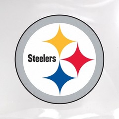 Team Clear Reusable Plastic Tote Bag Stadium Approved