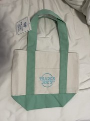 Trader Joe’s Mini Canvas Tote Bag Small Beige Green Solid Pattern
