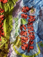 NWT Small Natural Grocers Bag Reusable Shopping Tote Lady Bug Zip Pouch