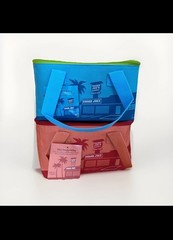 2 – Trader Joe’s Mini Insulated Tote Lunch Bags New Season PEACH And BLUE