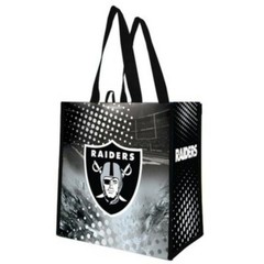 Lot Of 2 NFL Las Vegas Raiders Football Reusable Shopping Bag Totes 14″x13″x7.5″