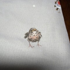 Wrendale Folding “The Jolly Robin” Cloth Shopping Bag Art By Hannah Dale (V)