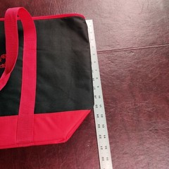 TRADER JOE INSULATED BAG EXTRA LARGE 7 GALLON CAPACITY TRENDY VIRAL SHOP REUSE