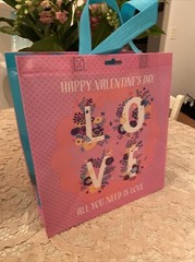 🌷 Happy Valentine’s Day LOVE PINK Red Aqua Gusset ￼Spring time shopping tote 🌷